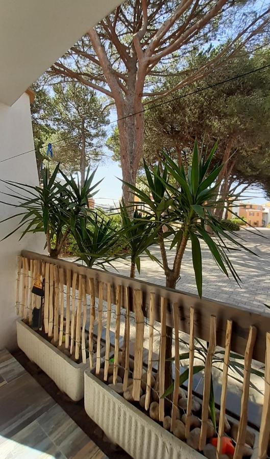 T2-3 Cabine Les Yuccas 200 M Plage Du Boucanet Rive Droite Grau Du Roi Ideal 2-4 Pers Le Grau-du-Roi Ngoại thất bức ảnh